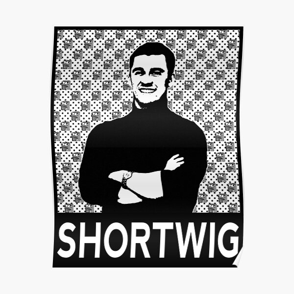 ShOrTwIg Poster RB0208 product Offical ludwig ahgren Merch