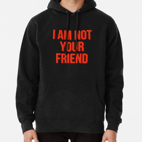 I am not your friend Pullover Hoodie RB0208 product Offical ludwig ahgren Merch